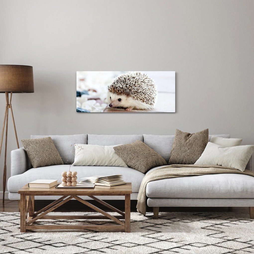 Sündisznó képe (120x50 cm)
