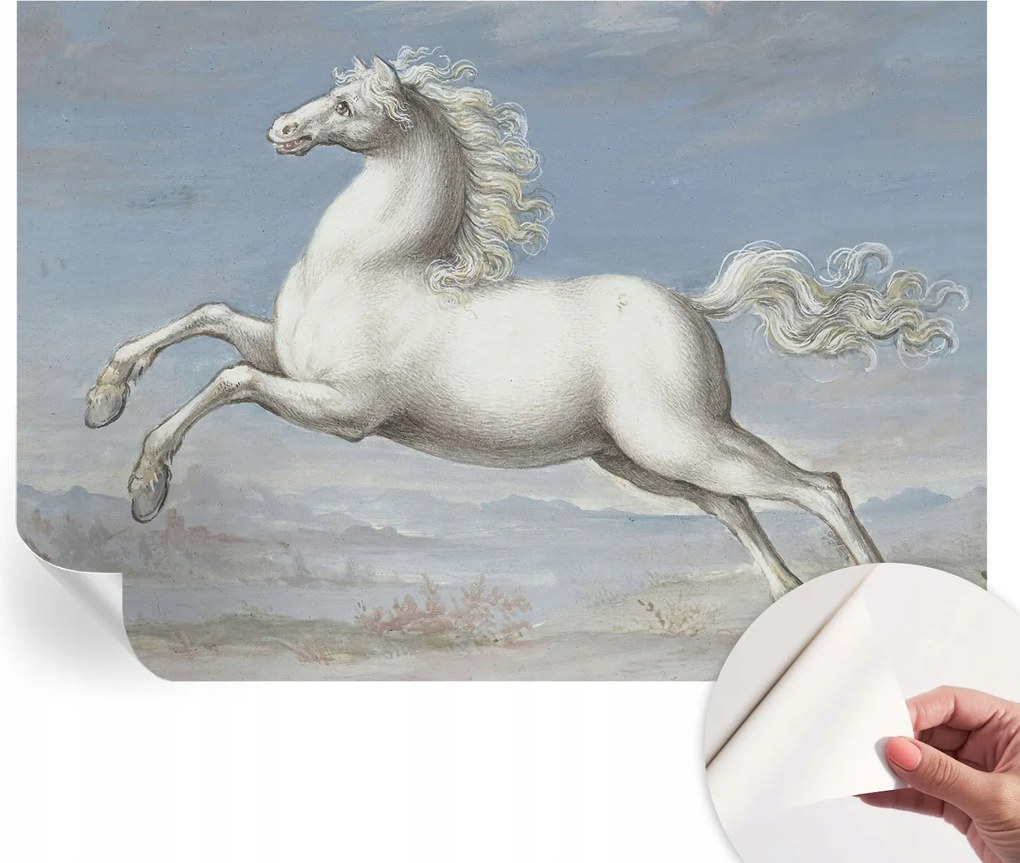 Öntapadós Dekoratív Fotótapéta Hálószobába Lovak ugrásban 208x146 cm