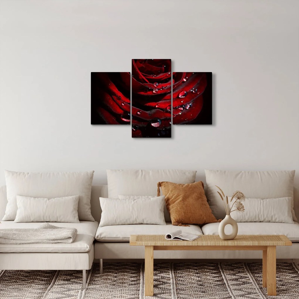 Kép - Rózsa részlete (90x60 cm)