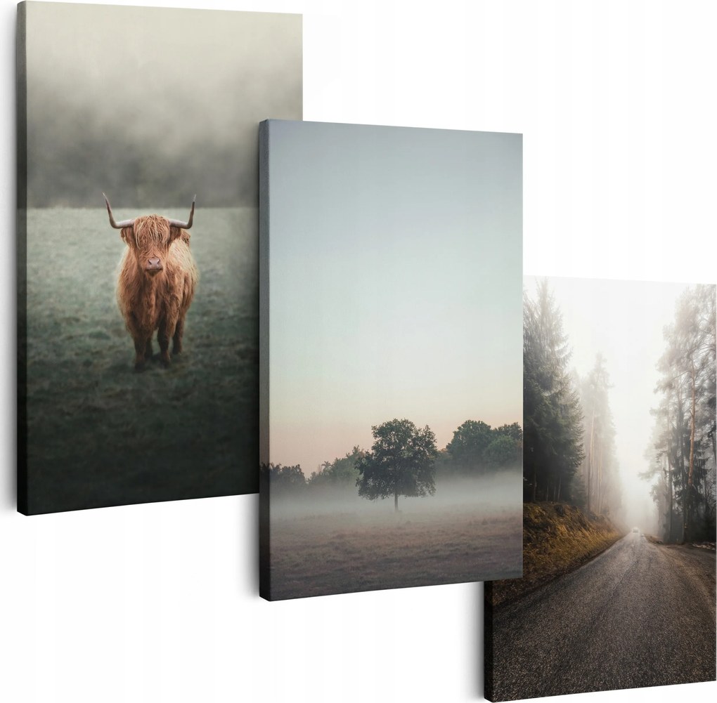 Vászonkép 180 cm **többféle minta** Képek A Nappaliba Triptichon Kép