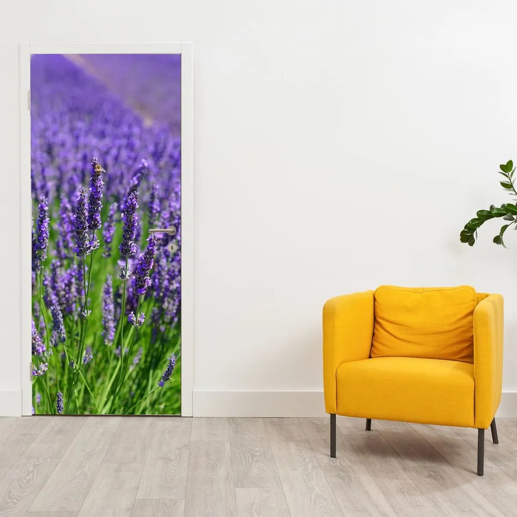 Fotótapéta ajtóra - Levendula (95x205cm)
