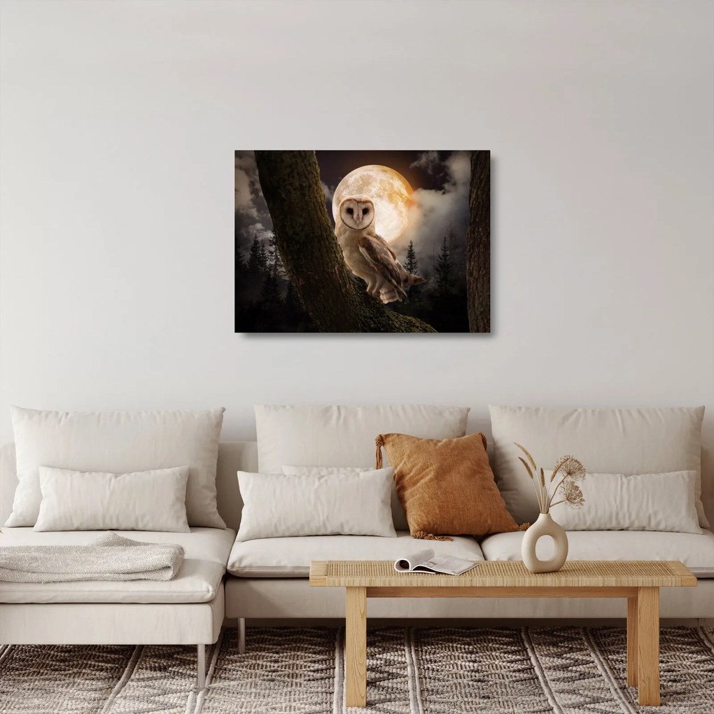 Egy gyöngybagoly képe (üvegen) (70x50 cm)