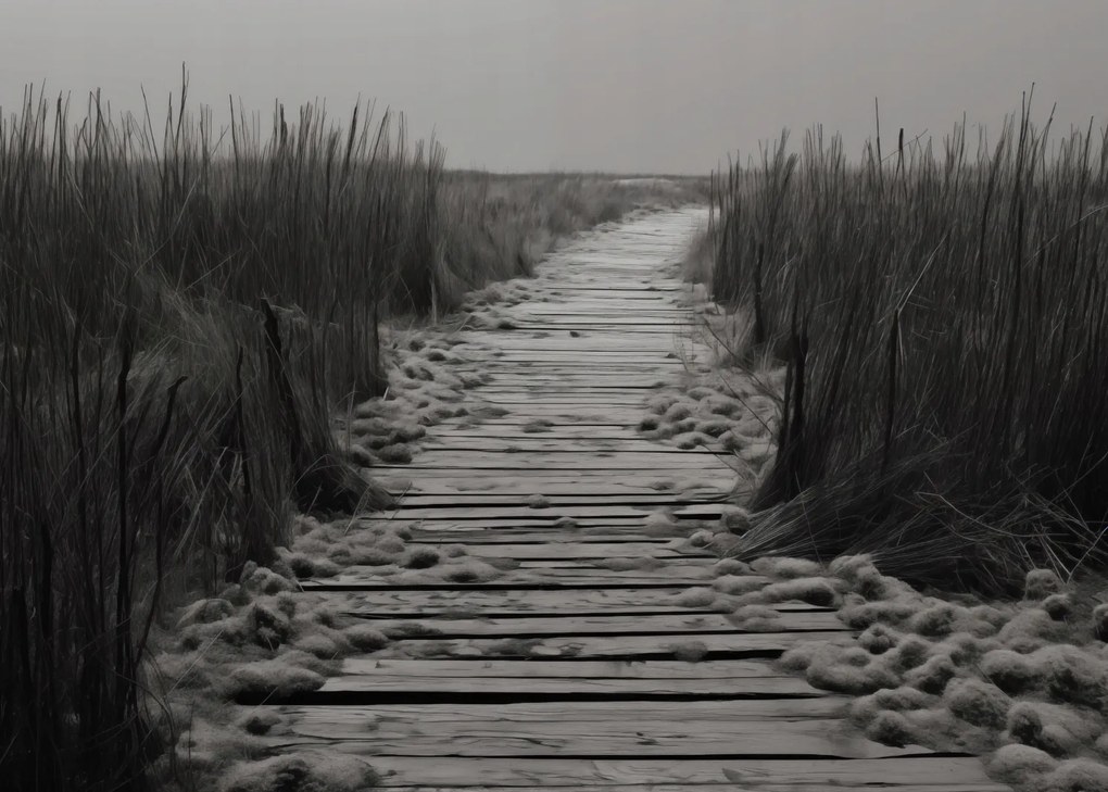 Poszter 35x25cm A csend ösvénye Dűnék