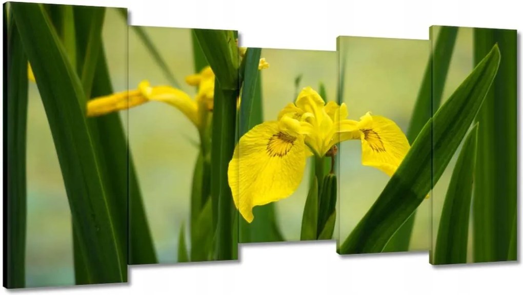 Vászonkép 150x80 Virágok