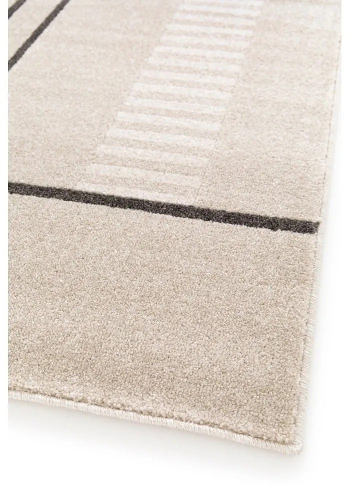 Bézs szőnyeg 120x170 cm Domus – Universal