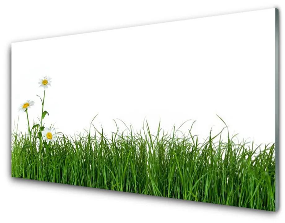 Üvegkép falra Grass Nature Plant 140x70 cm