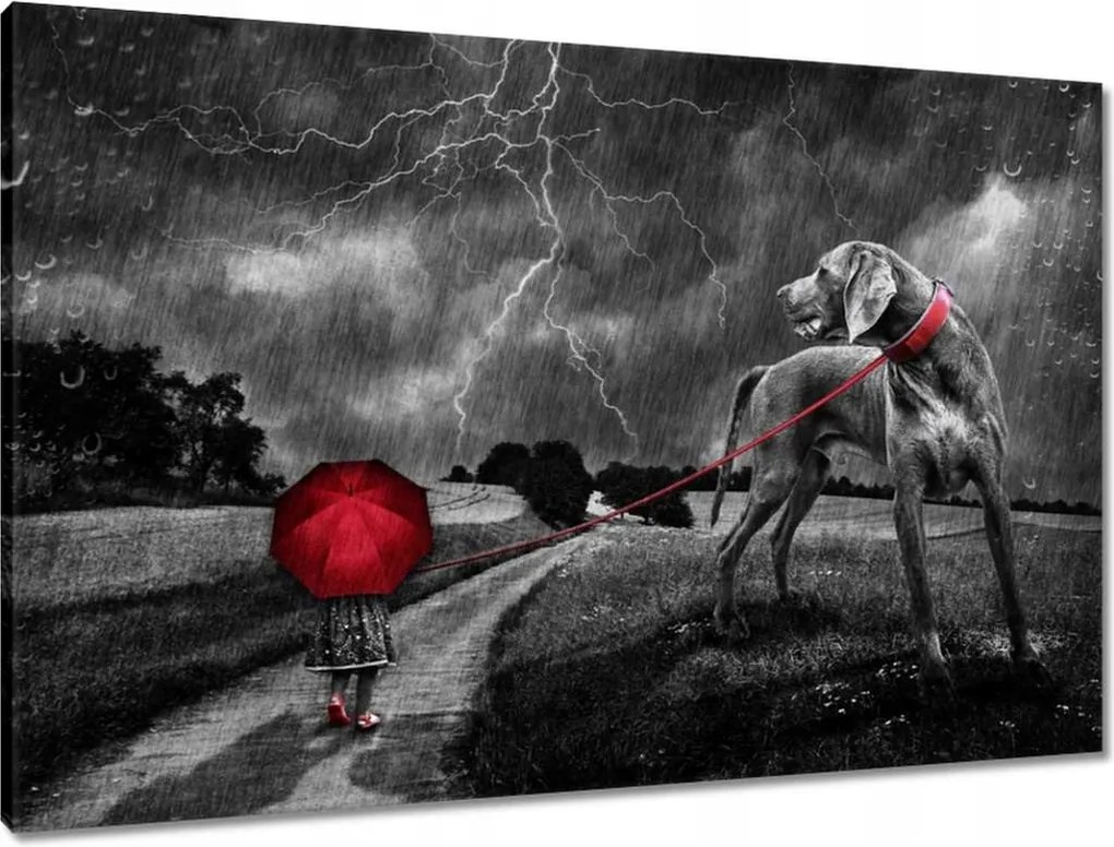 Vászonkép 90x60 Túlnőttem ezen a sétán