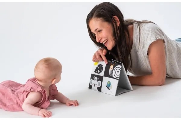 Taf Toys - Gyermek textilkönyv tükrös fekete