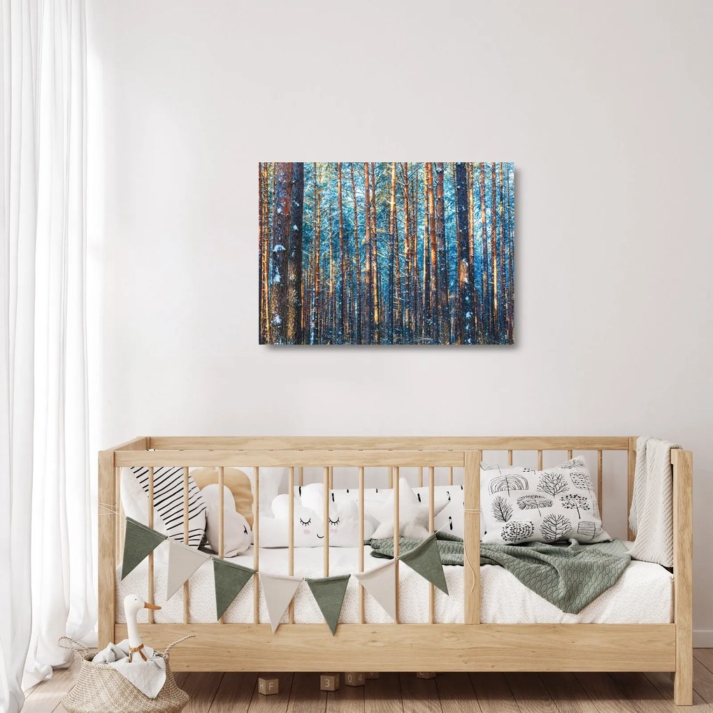 Kép - téli erdő (üvegen) (70x50 cm)