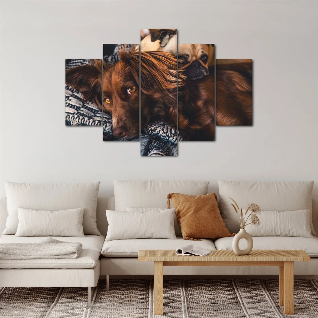 Egy kép fekvő kutyákról (150x105 cm)