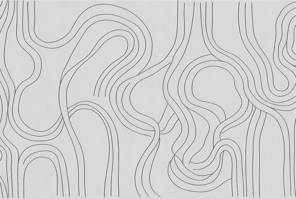 Fotótapéta Flizelin Dekoratív az irodába Organikus vonalak 104x70 Ragasztó