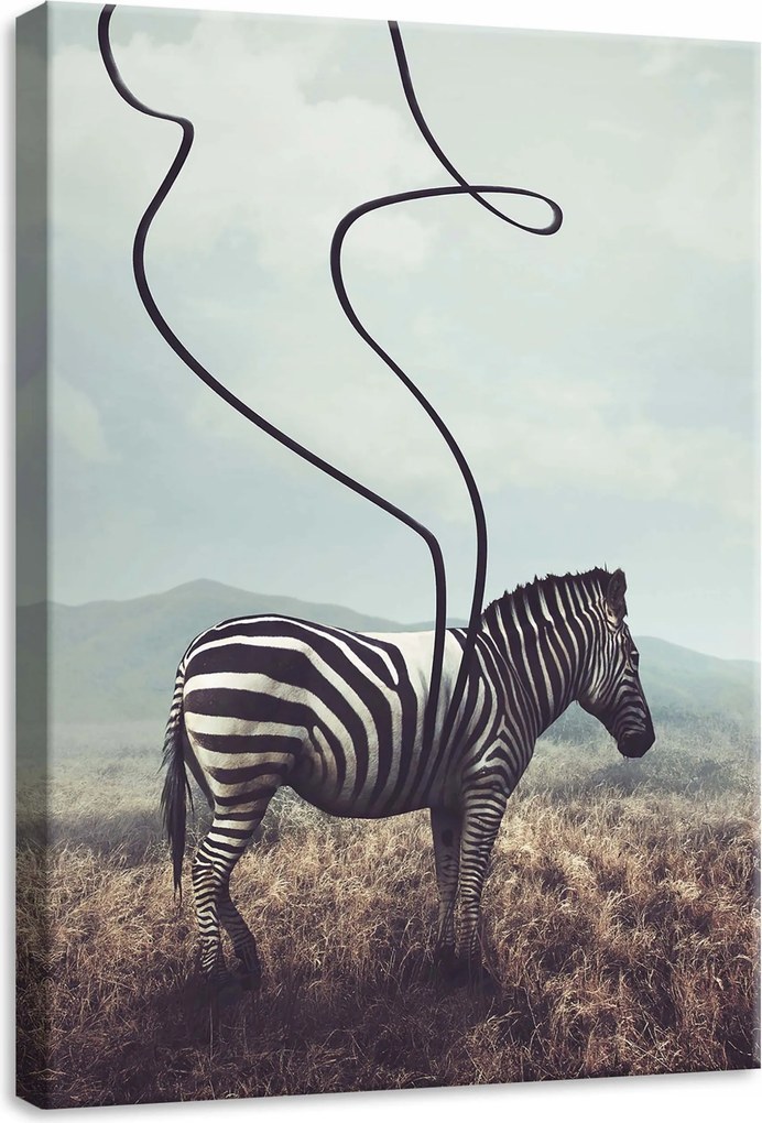 Vászonkép 50x70 Zebra fekete-fehér csíkok absztrakt szürrealizmus nyugalom művészet