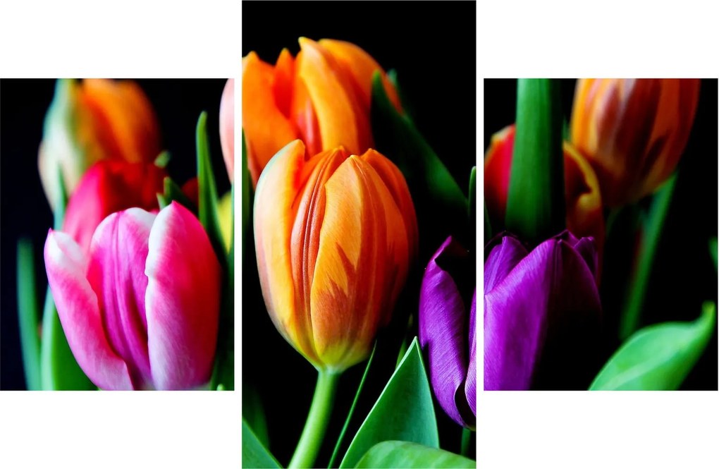 Tulipánok képe fekete alapon (90x60 cm)