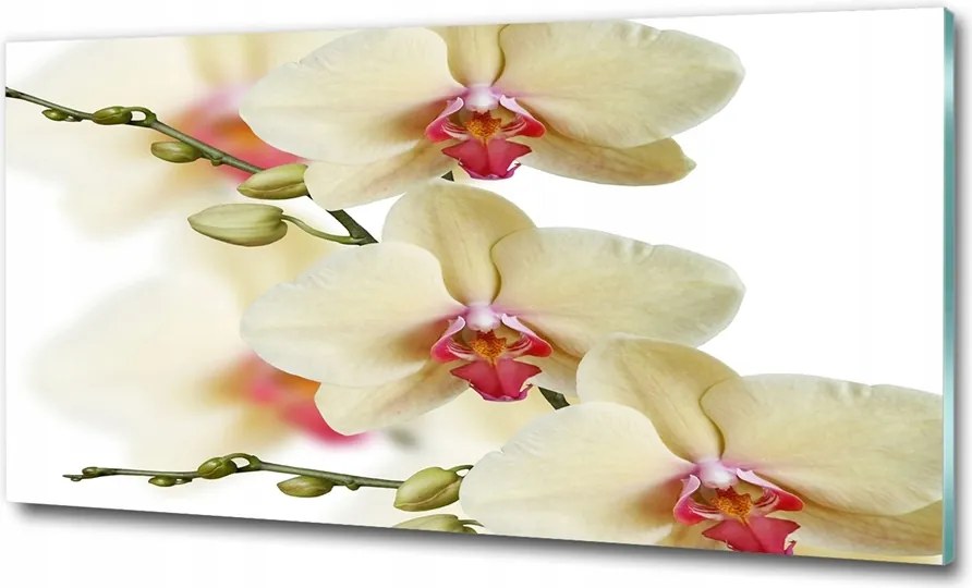 Fotó vászonkép edzett üveg Orchidea 100x70