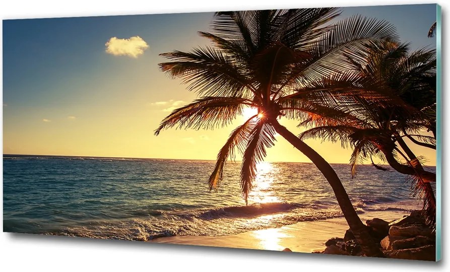 Fotó üvegkép Trópusi tengerpart 125x50