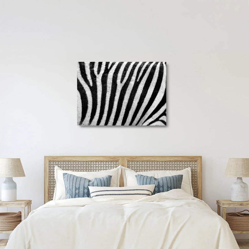 Kép egy zebra bőrről (üvegen) (70x50 cm)