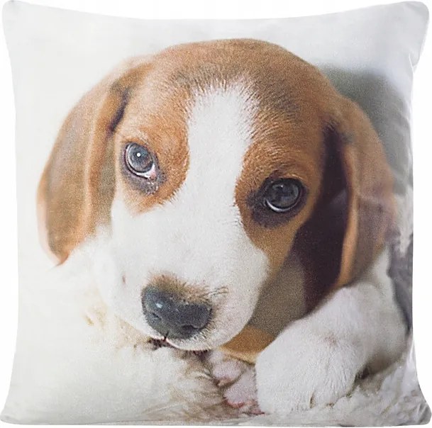 Animal Párnahuzat 40x40 Eurofirany