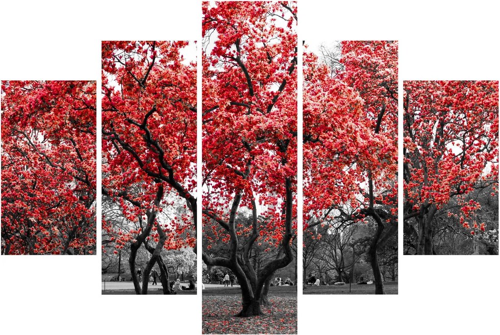 Kép - vörös fák, Central Park, New York (150x105 cm)