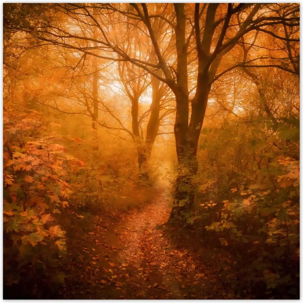 Poszterek 30x30 Tájkép Látvány