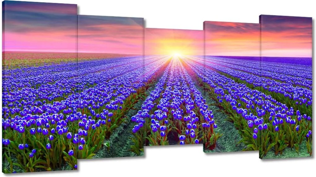 Vászonkép 150x80 Tulipánok tengere Tulipánok