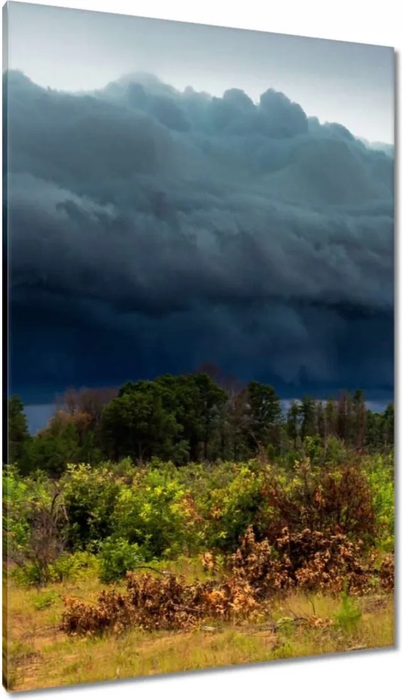Vászonkép 80x120 Ősz Hegyek Folyó Fák