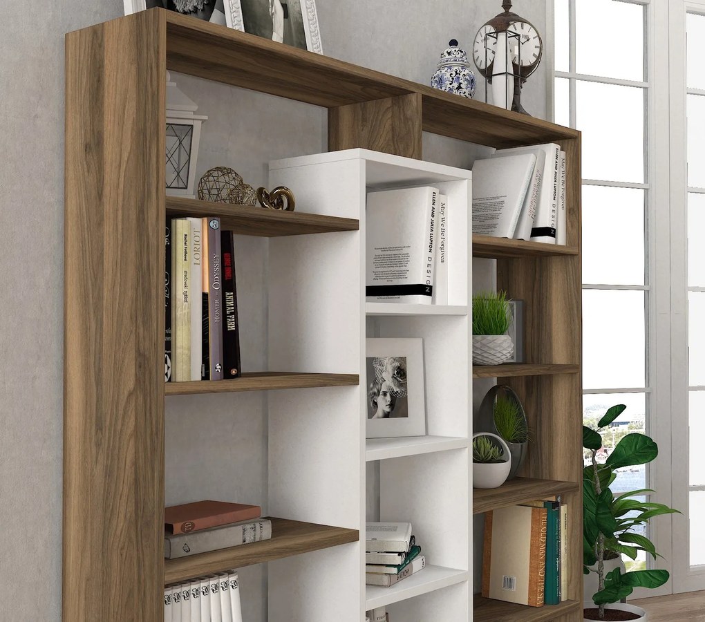könyvespolc Ample - Walnut, White