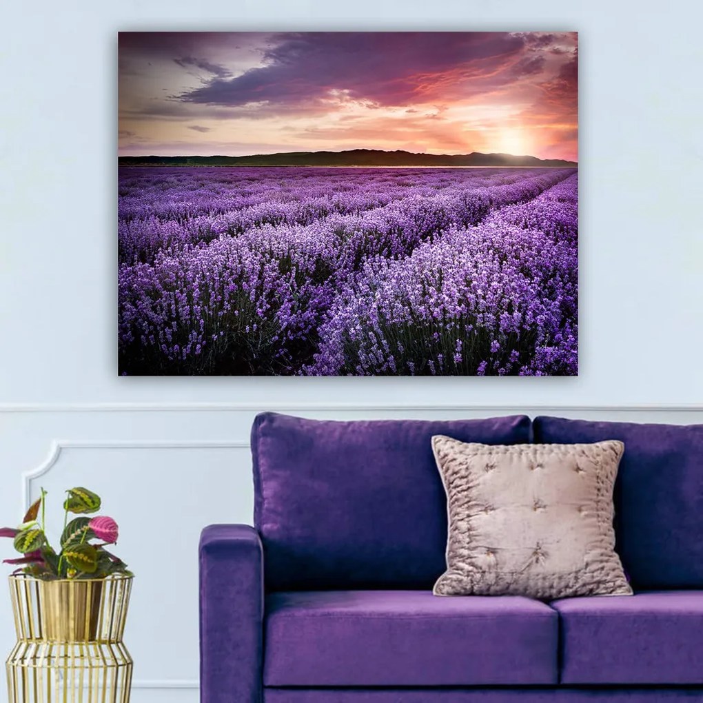 Vászonkép, 70×100 cm – TR441HPE2435