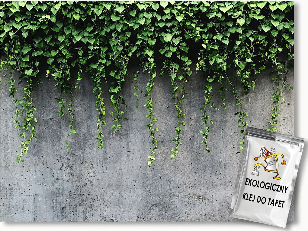 Fotótapéta Flizelina Szürke Beton Falazat Kúszó Levelek Borostyán 416x290 ragasztó
