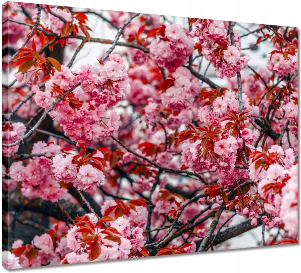 Vászonkép 50x40 Finom virágok Virágok