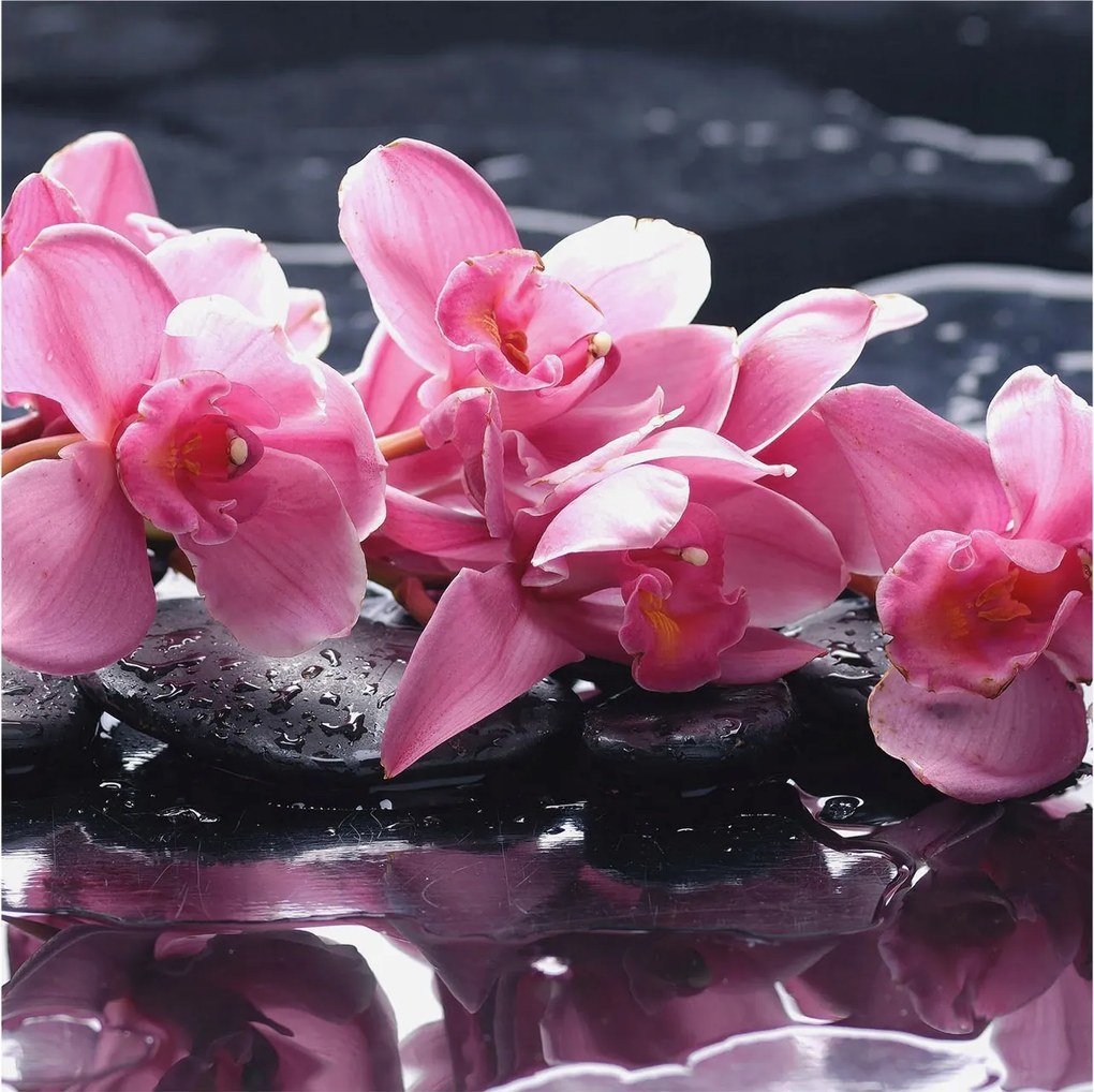 Modern fotótapéta Flizelina falra Virágos elegancia 250x250 Ragasztó