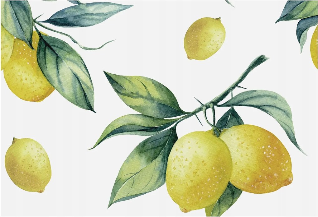 Fotótapéta Flizelin Dekoratív Hálószoba Citrom motívum 152x104