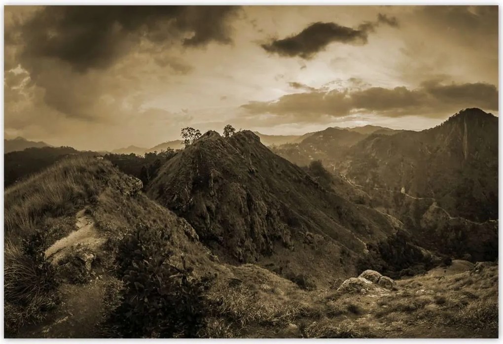 Poszterek 200x135 Barna tájkép Tájkép