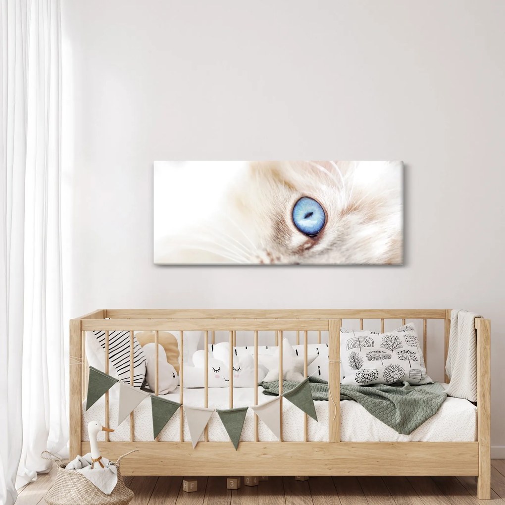 Kép - Cica (120x50 cm)