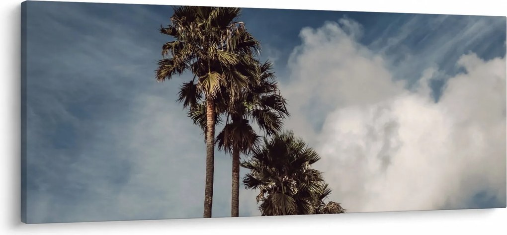 Kép - Pálma dráma (120x50 cm)