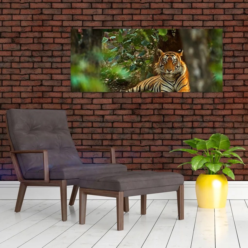 Pihenő tigris képe (120x50 cm)