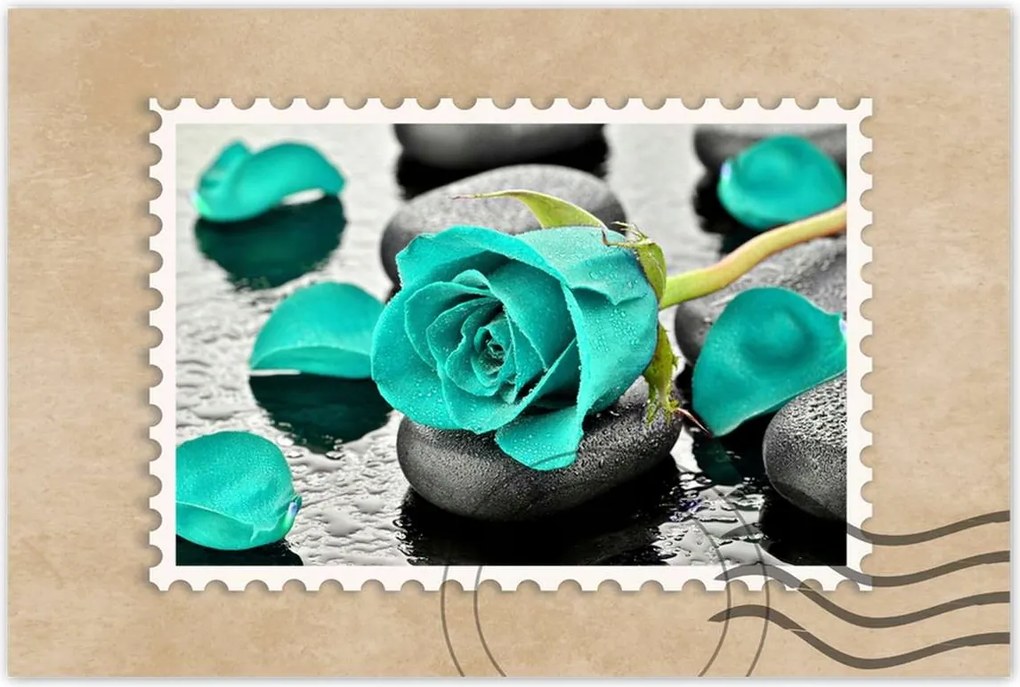 Poszterek 90x60 Türkiz rózsa