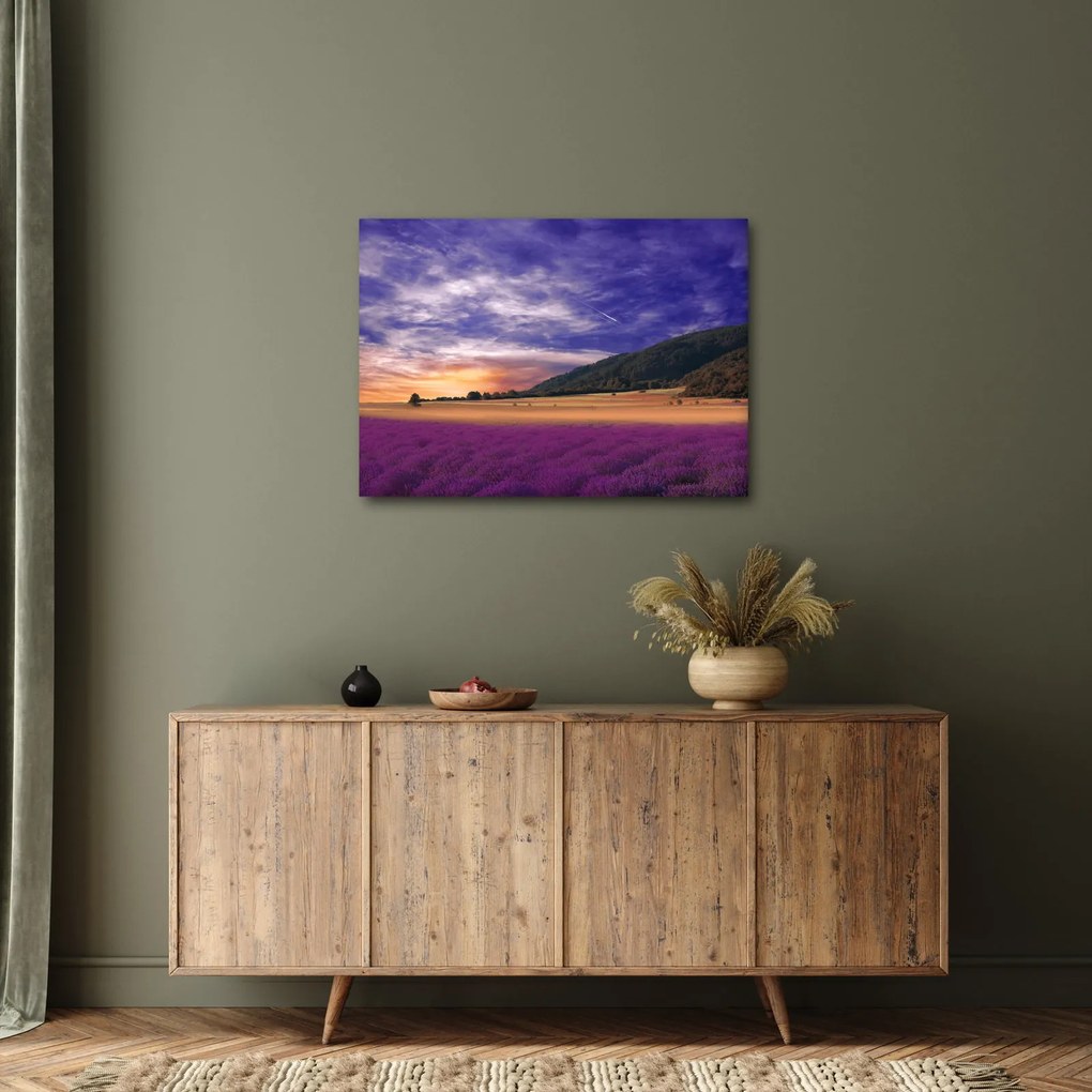 A levendula rét képe (70x50 cm)