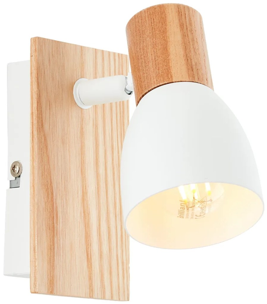 Brilliant DAINTREE 99710/75 Fali lámpa 1x28W/E14 IP20