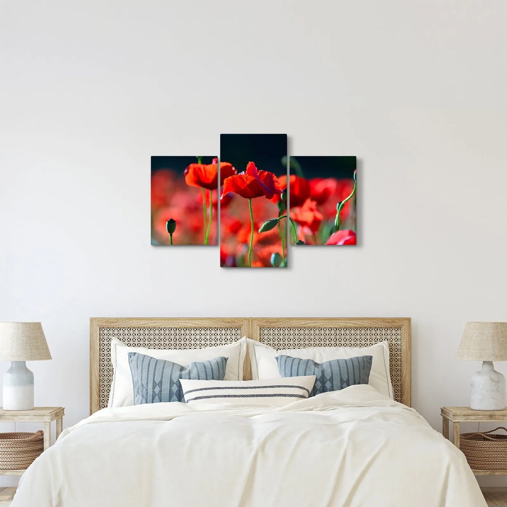 Kép - pipacsok (90x60 cm)