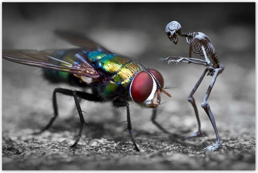 Poszterek 120x80 HardCore Design Photo Hc