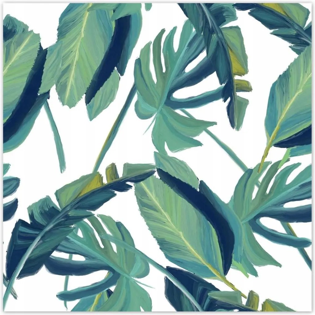Poszterek 70x70 Monstera Levelek levél