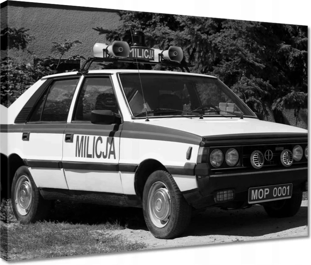 Vászonkép 40x30 Military Polonez