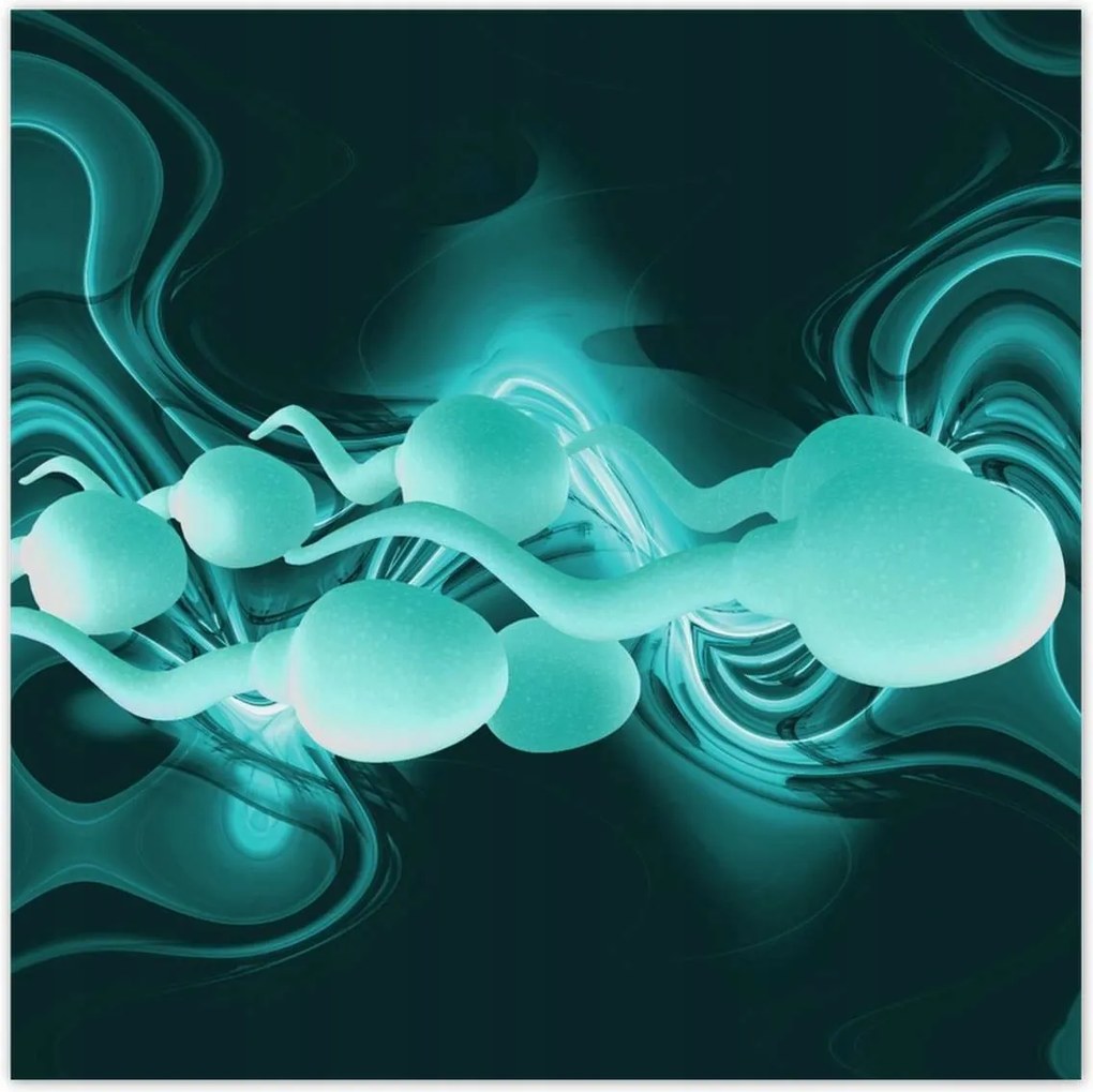 Poszterek 100x100 Én vagyok a győztes