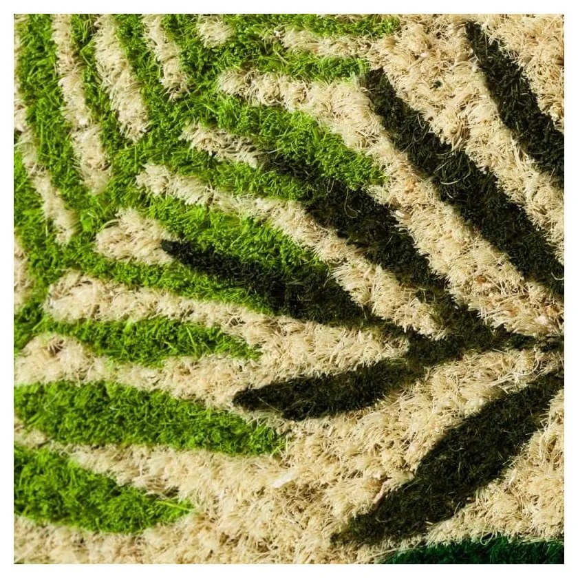 Kókuszrost lábtörlő 60x40 cm Tropicalia – Casa Selección