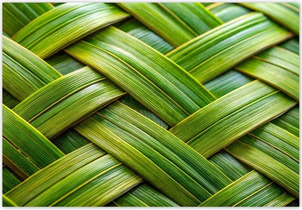 Fotótapéták 368x254 Zöld fonott zöld rattan fonott lemez