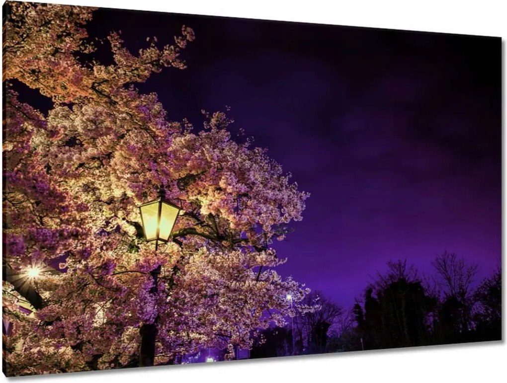 Festmények 120x80 Éjszakai motívum a nappaliba