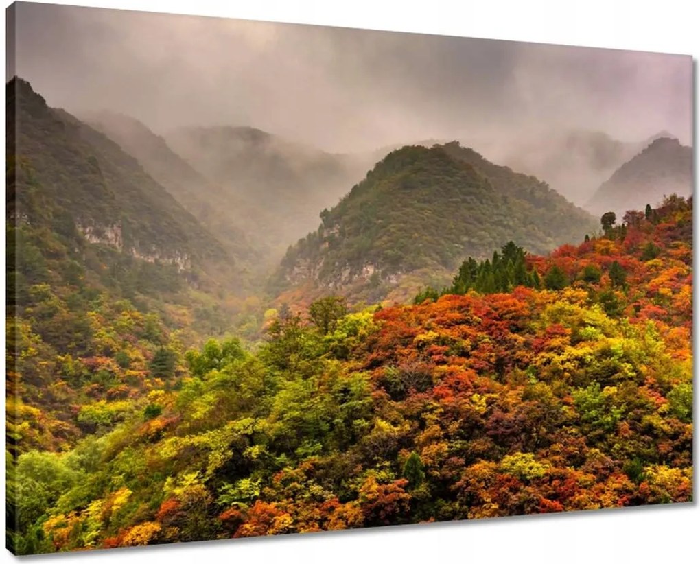 Vászonkép 70x50 Tájkép Látvány