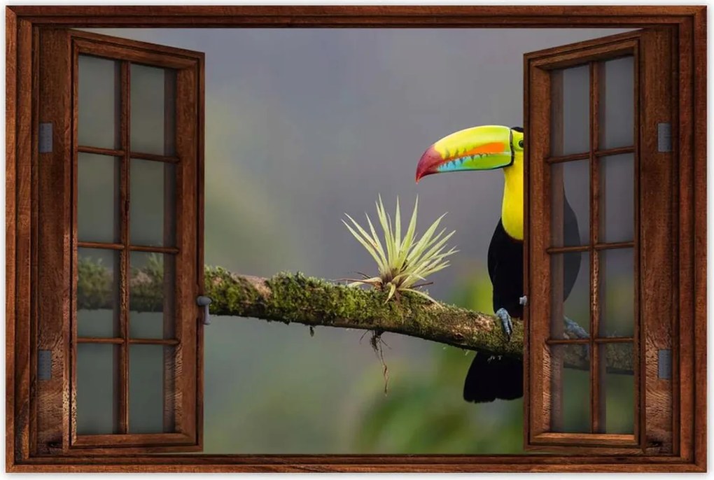 Poszterek 90x60 Madarak