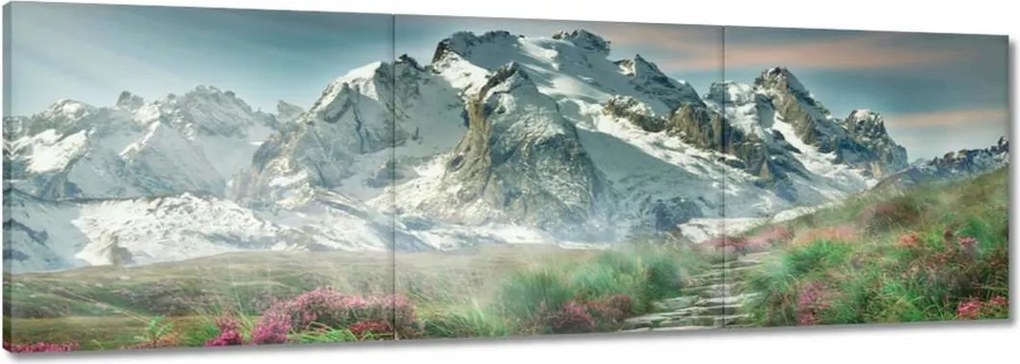 Festmények 120x40 Hegyi kilátás