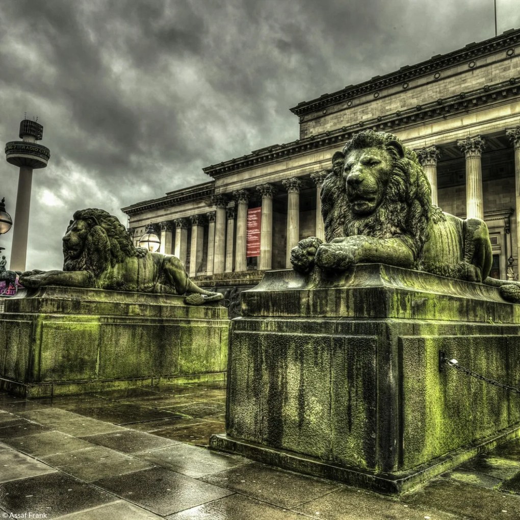 Poszter 20x20cm Oroszlán szobrok, Assaf Frank